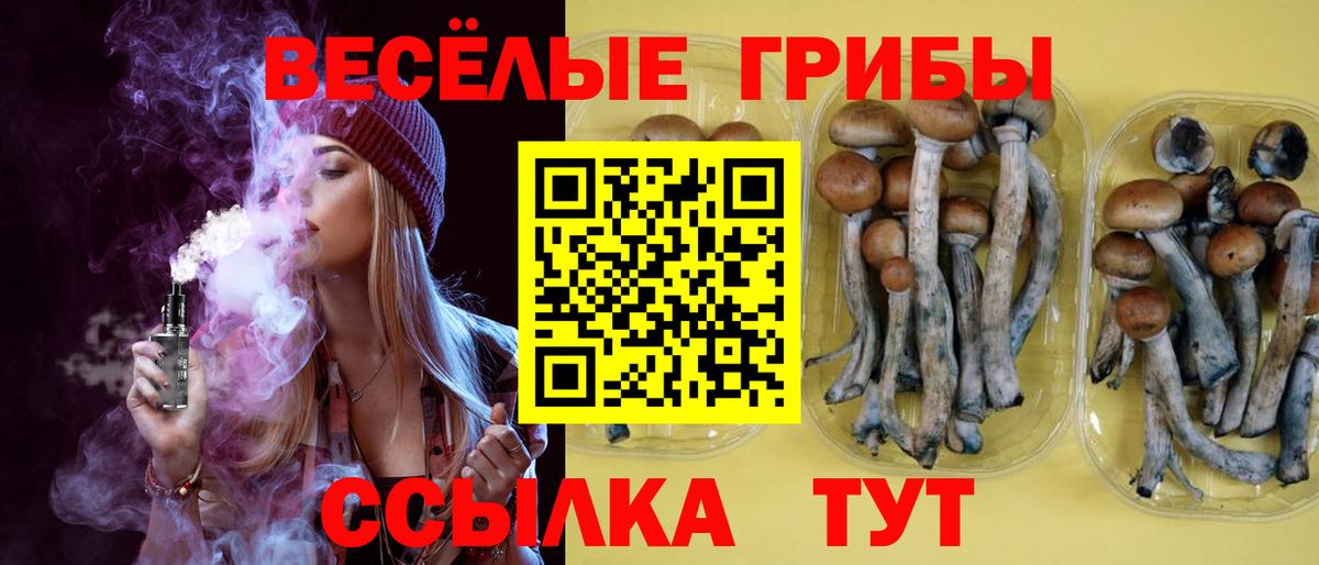Галлюциногенные грибы мухоморы  Вход с VPN  Мирный  Галлюциногенные грибы Magic Shrooms 