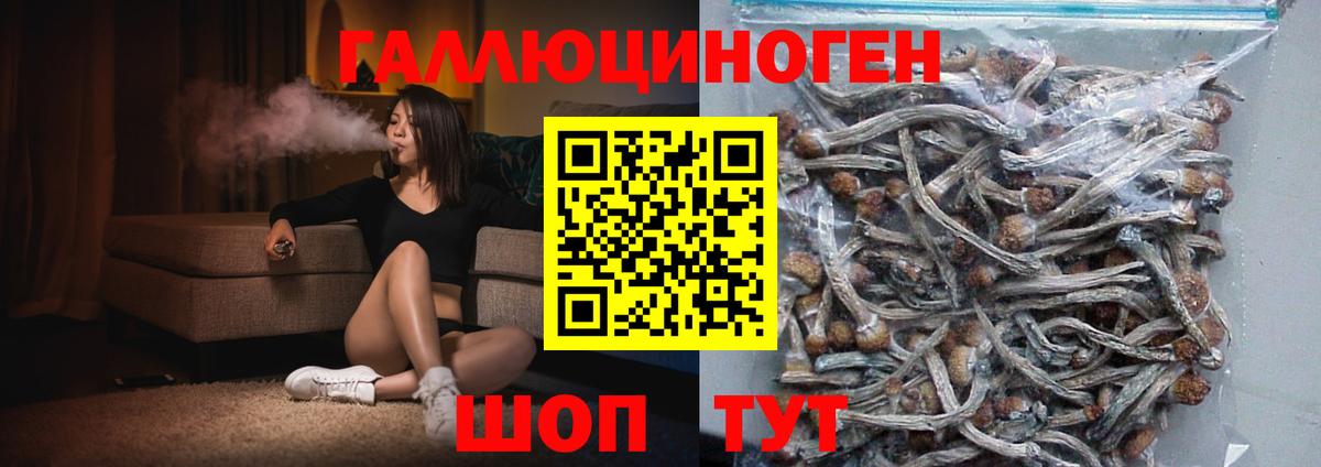Галлюциногенные грибы MAGIC MUSHROOMS Мирный